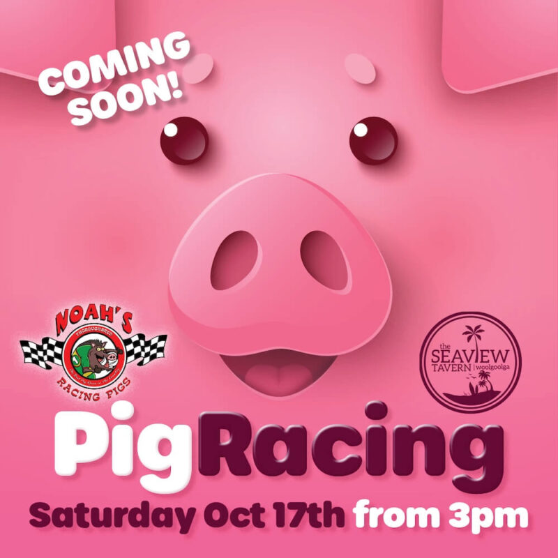 Seaview Tavern Pig Racing coming soon