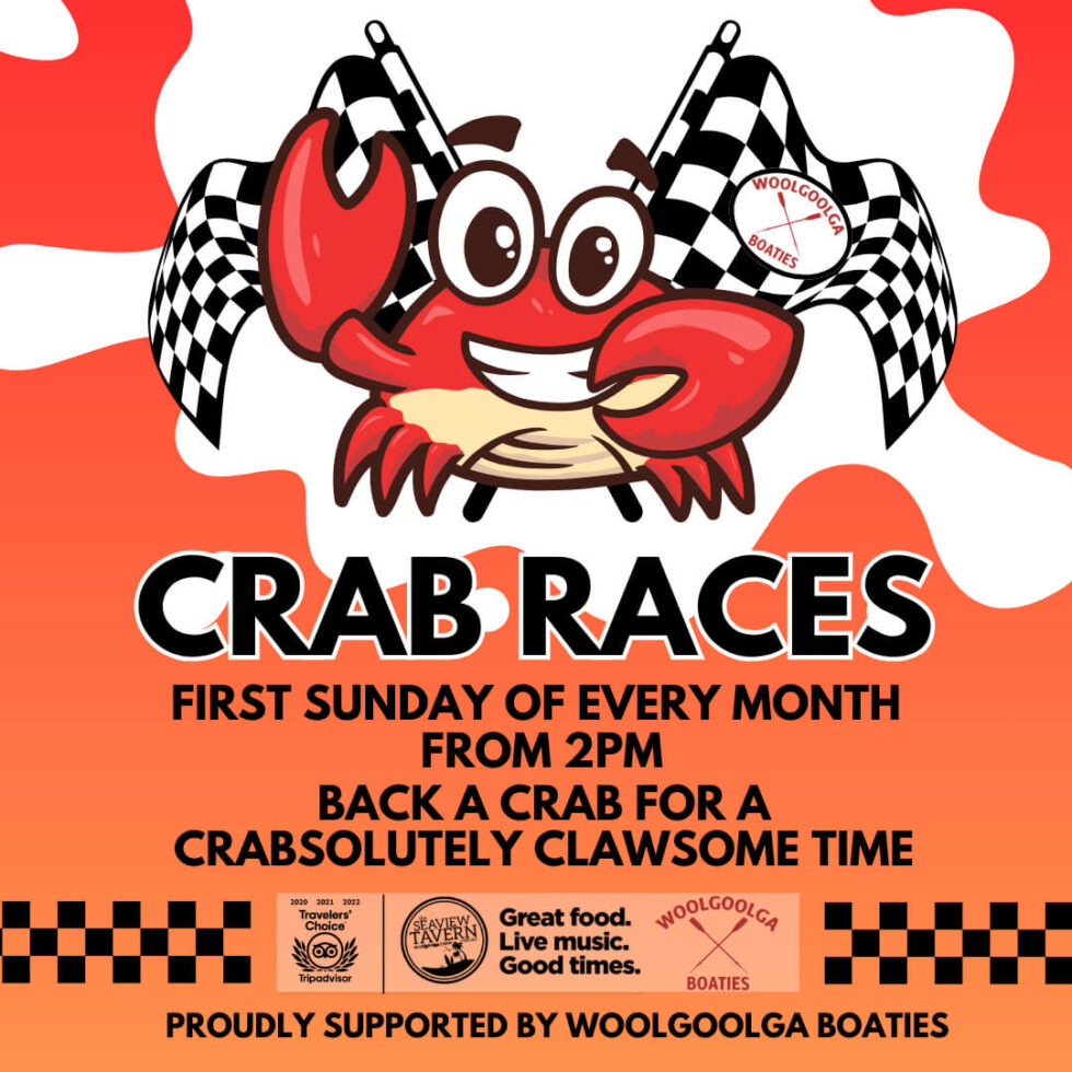 Crab And Rabbit Racing Crab Races - Seaview Tavern Woolgoolga