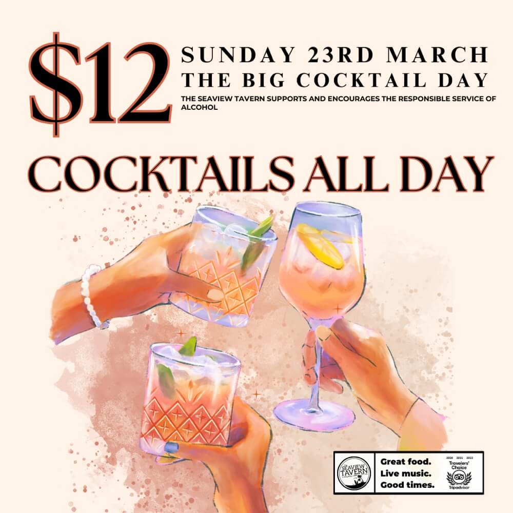 The Big Cocktail Day at the Seaview Tavern Woolgoolga