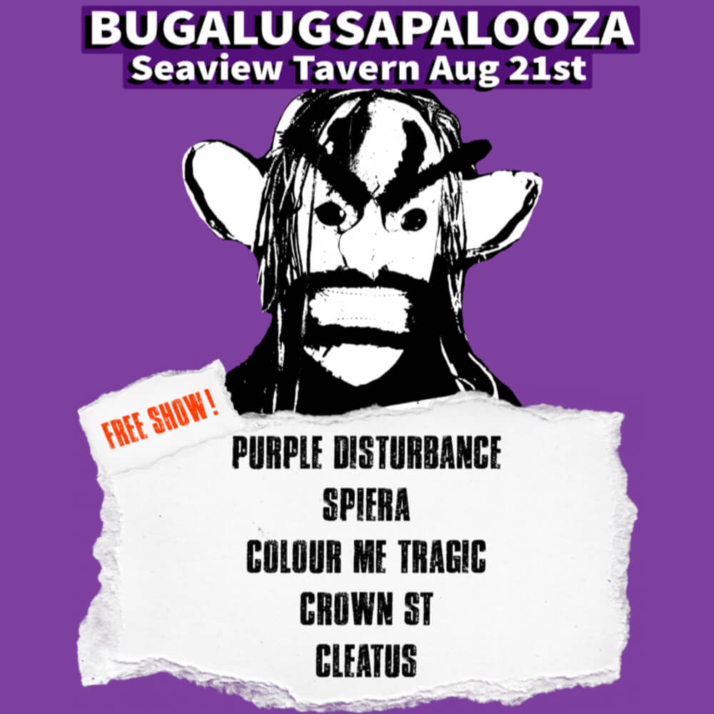 purple disturbance bugalugsapalooza purple disturbance EP release mini fest at the Seaview Tavern Woolgoolga